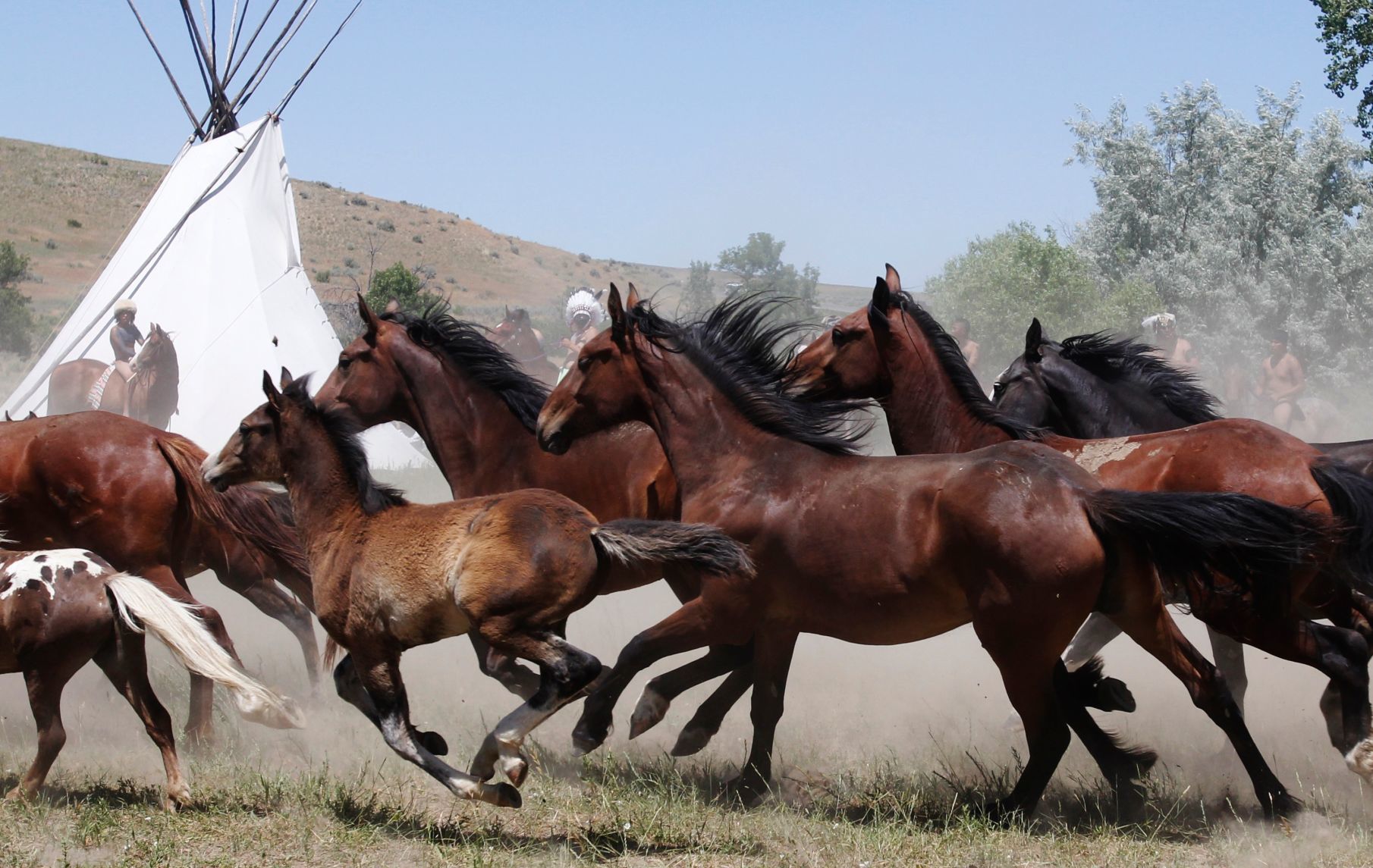 Custer Reenactment